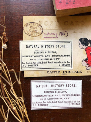 'Natural History Store' Rubber Stamp by Mic Moc (自然史店) from micmoc.com