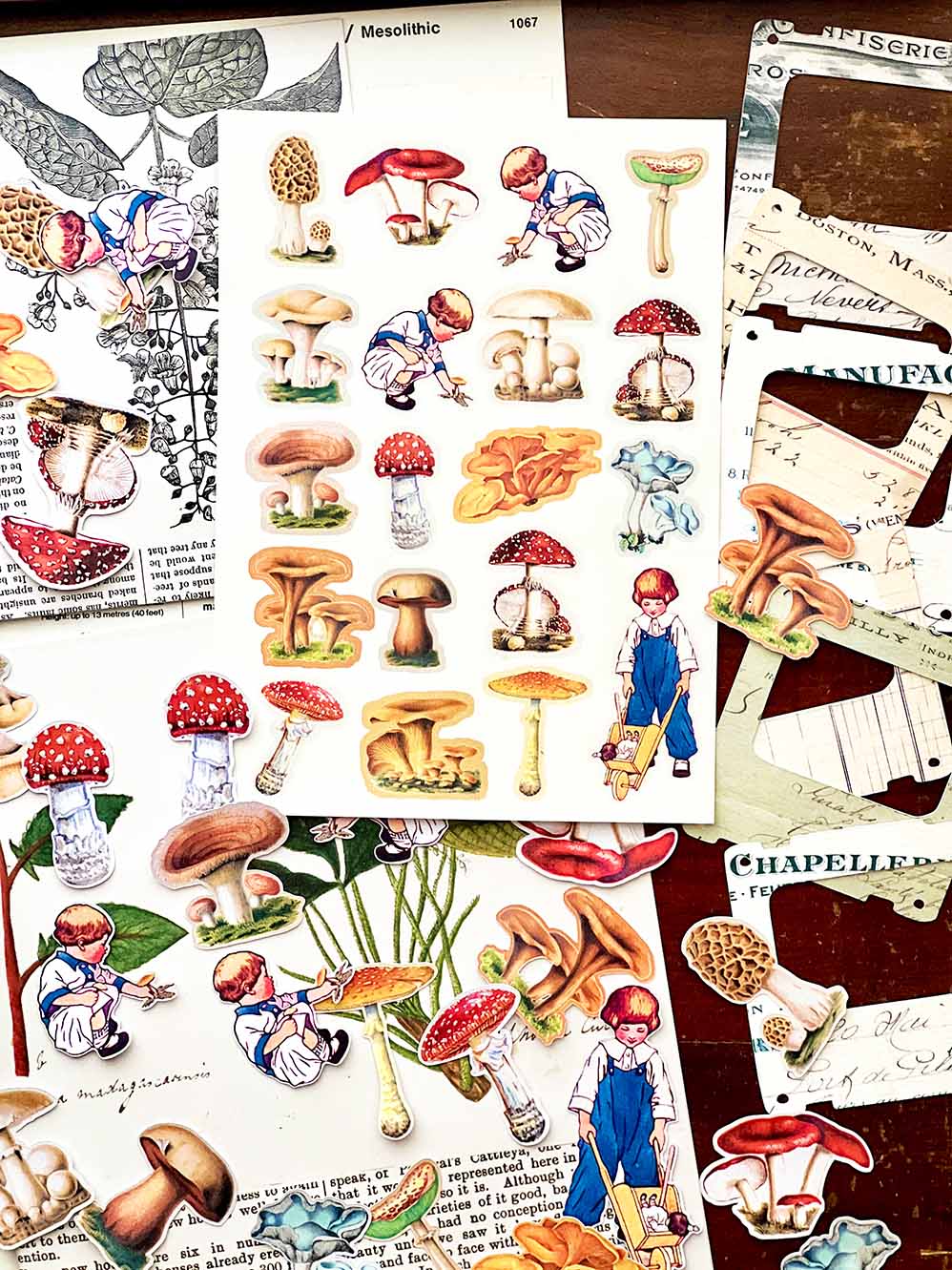 Junk Journal Paper Kit: 'Mushroom Field Notes' from micmoc.com