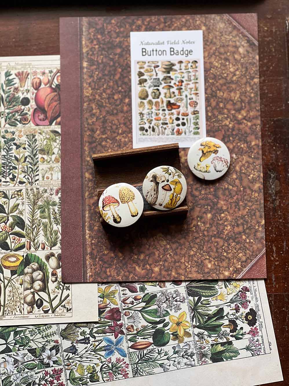 Mushroom pin button badges and Button Badge 'Mushrooms' (Naturalist Field Notes)by Mic Moc from micmoc.com