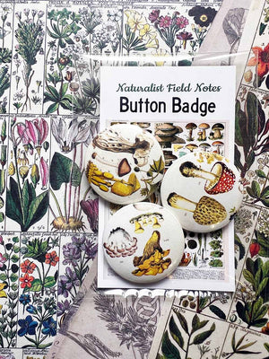 Mushroom pin button badges and Button Badge 'Mushrooms' (Naturalist Field Notes)by Mic Moc from 