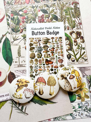 Mushroom pin button badges and Button Badge 'Mushrooms' (Naturalist Field Notes)by Mic Moc from 