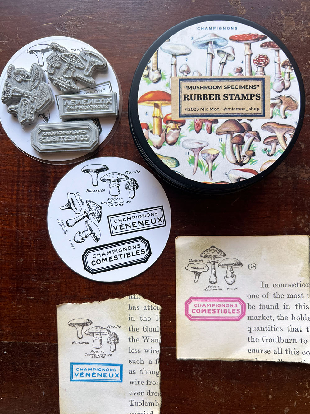 Black Tin Collection Rubber Stamps: 'Mushroom Specimens' by Mic Moc (4個) from micmoc.com #キノコハンコ