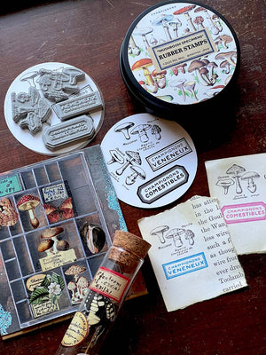 Black Tin Collection Rubber Stamps: 'Mushroom Specimens' by Mic Moc (4個) from micmoc.com #キノコハンコ