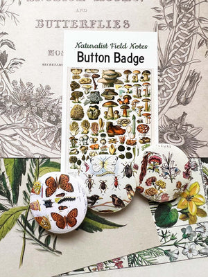 Button Badge 'Nature Specimens' (Naturalist Field Notes)by Mic Moc from micmoc.com