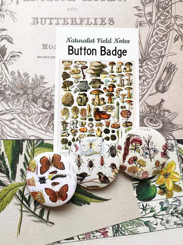 Button Badge 'Nature Specimens' (Naturalist Field Notes)by Mic Moc from ...