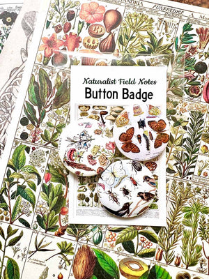 Button Badge 'Nature Specimens' (Naturalist Field Notes)by Mic Moc from micmoc.com