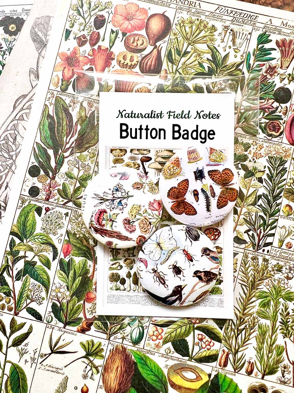 Button Badge 'Nature Specimens' (Naturalist Field Notes)by Mic Moc from micmoc.com