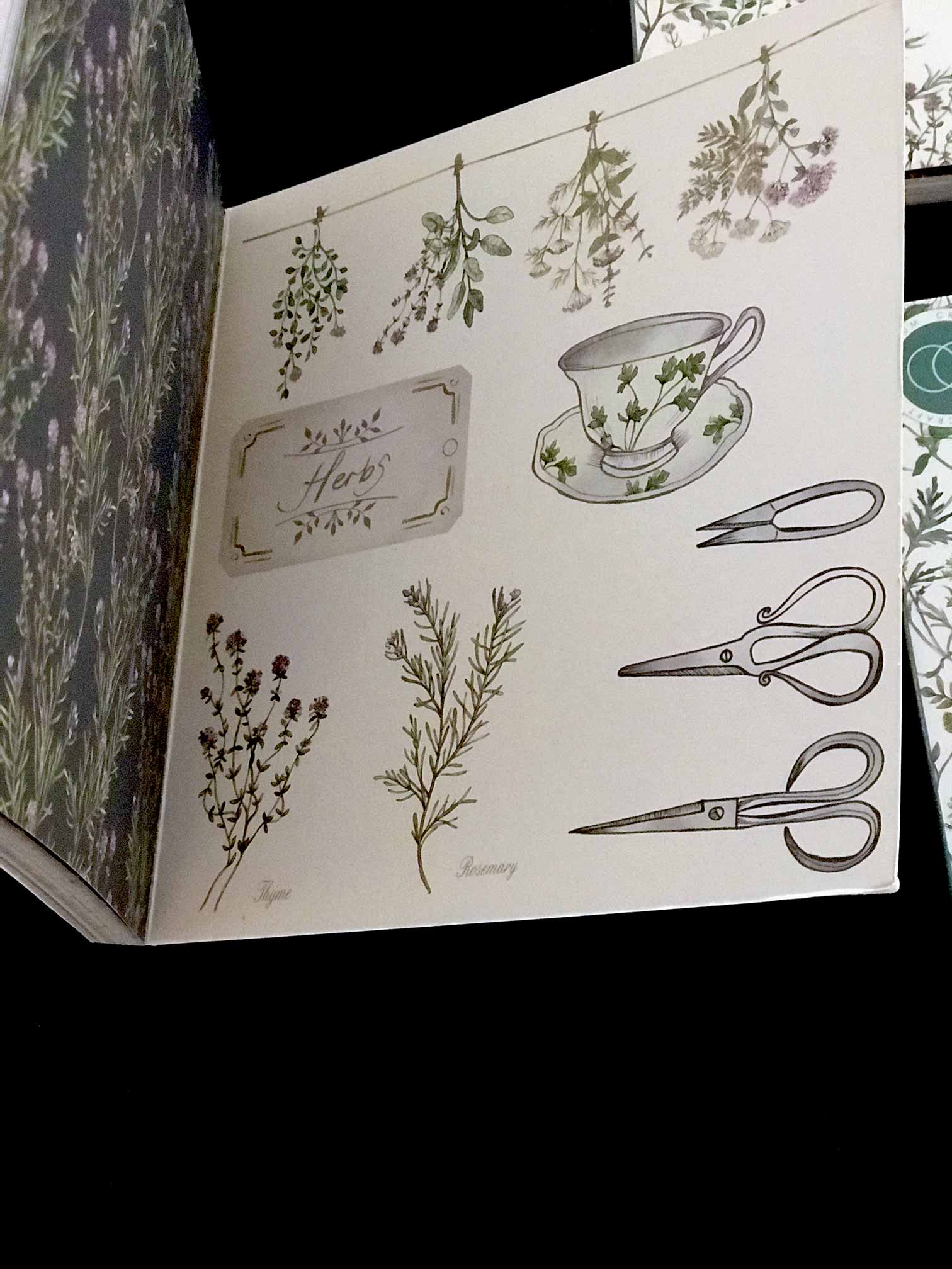 The Herbarium' 6 x 6 Paper Pad - Craft Consortium - Craft