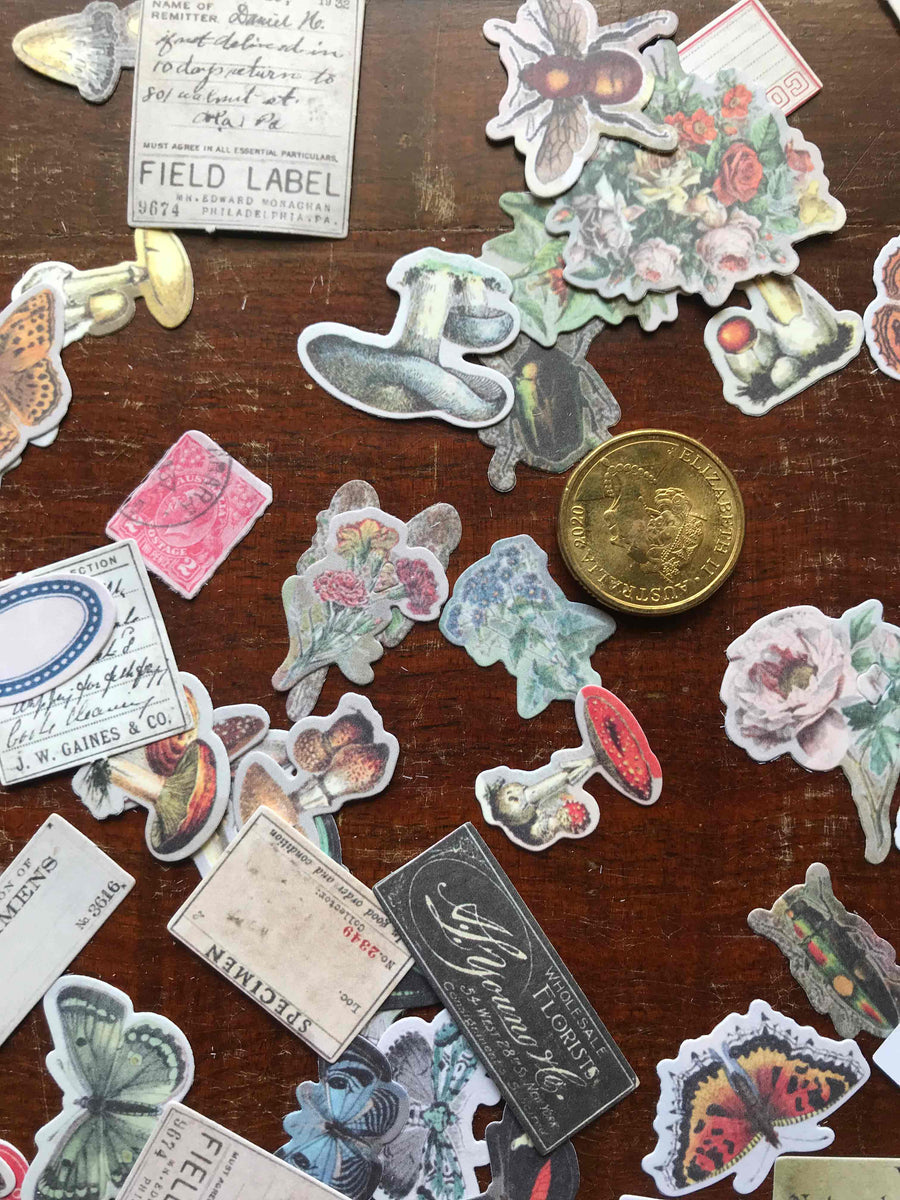 Tim Holtz® Idea-ology 'Field Notes' Die Cuts TH94094 from micmoc.comv