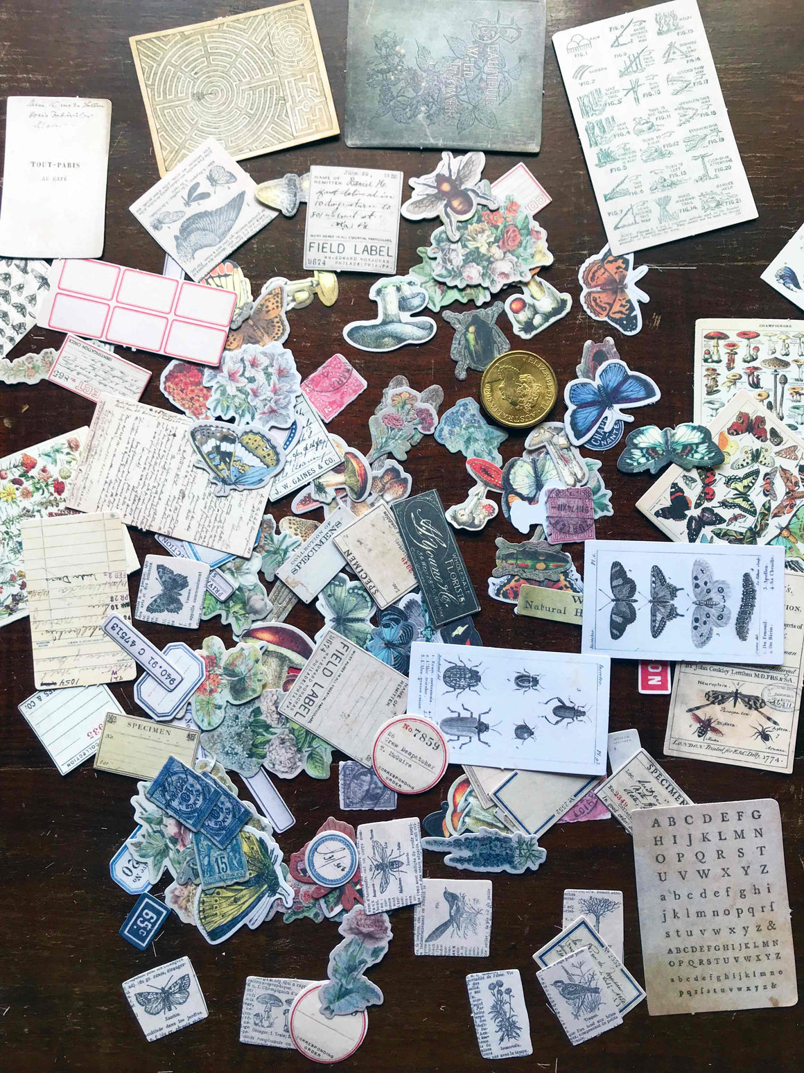 Tim Holtz® Idea-ology 'Field Notes' Die Cuts TH94094 from micmoc.comv
