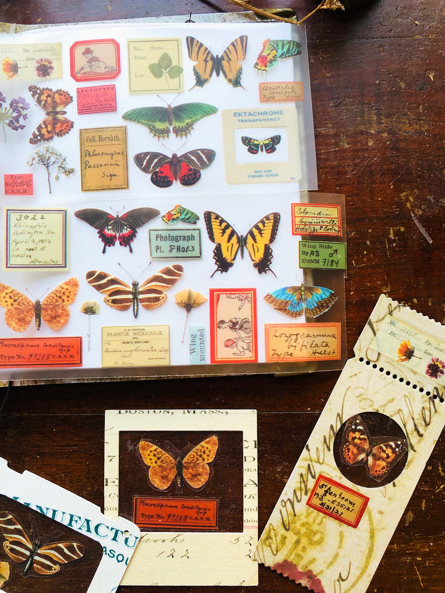 PET Clear Washi Tape 60MM - 'Museum Archives' {博物館資料室} 和紙 - from micmoc.com at Mic Moc from micmoc.com