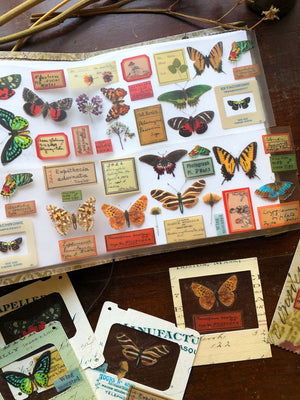 PET Clear Washi Tape 60MM - 'Museum Archives' {博物館資料室} 和紙 - from micmoc.com at Mic Moc from micmoc.com