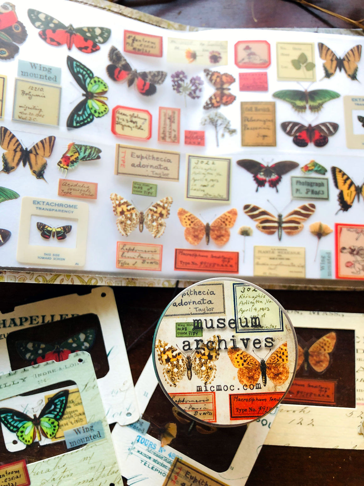PET Clear Washi Tape 60MM - 'Museum Archives' {博物館資料室} 和紙 - from micmoc.com at Mic Moc from micmoc.com