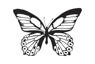 Kaisercraft Clear Stamps - Background Majestic Butterfly CS258 from Mic Moc at micmoc.com