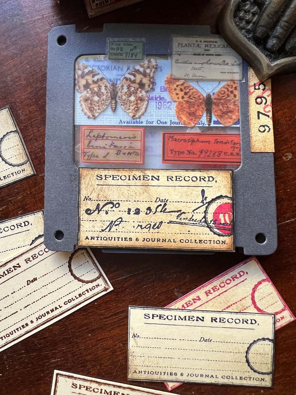 'Specimen Record' Wood Rubber Stamp by Mic Moc from micmoc.com